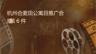 杭州联合麦田公寓项目推广整合传播策略6课件