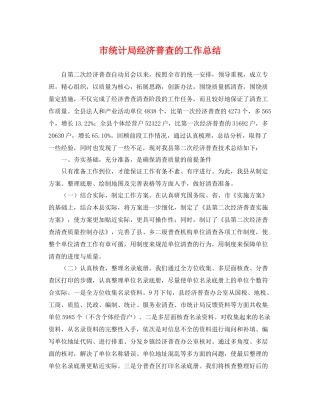 市统计局经济普查的工作总结 