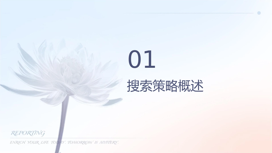 搜索策略概要课件_第3页