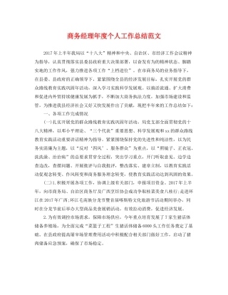 商务经理年度个人工作总结范文 