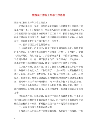 旅游局工作组上半年工作总结 