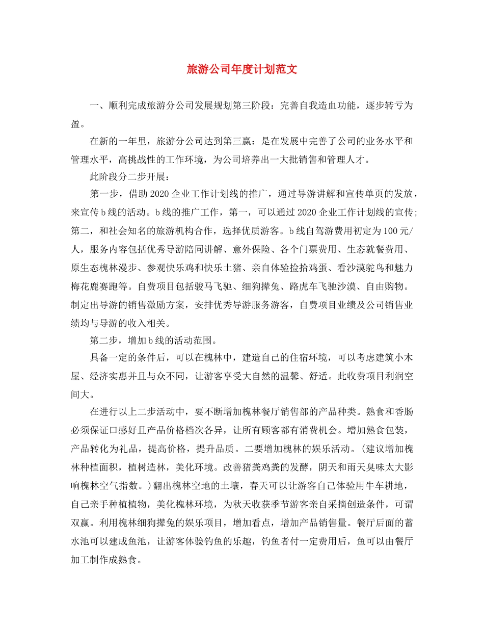 旅游公司年度计划范文 _第1页