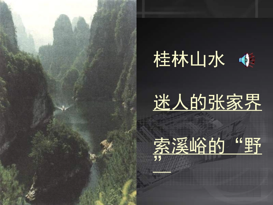 六年级语文索溪峪的“野”_第2页