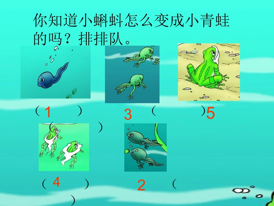 小蝌蚪找妈妈(1)_第2页