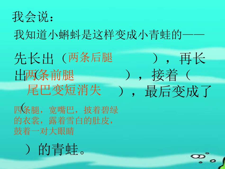 小蝌蚪找妈妈(1)_第3页