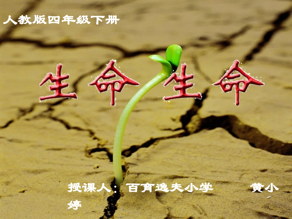 《生命生命》课件_第1页