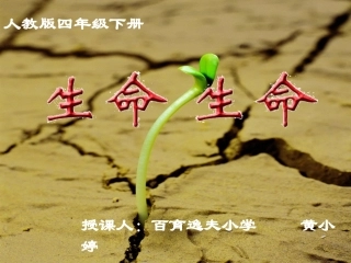 《生命生命》课件