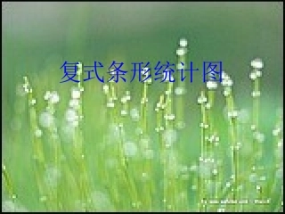 复式条形统计图