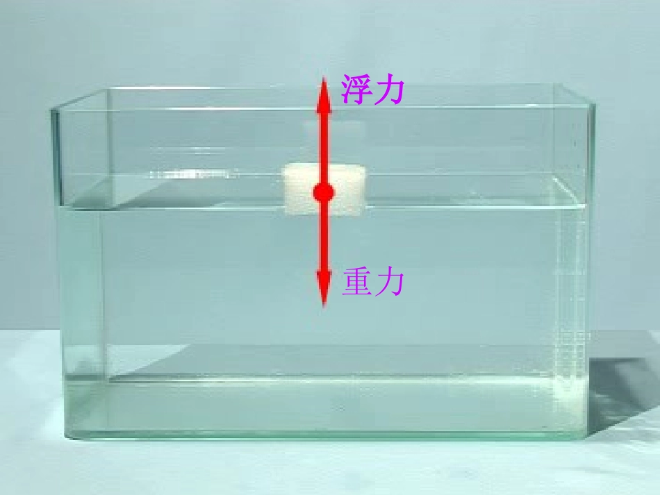 （教科版）五年级科学下册课件浮力1_第3页