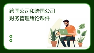 跨国公司和跨国公司财务管理绪论课件