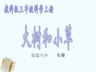 三年级科学上册3大树和小草3课件教科版