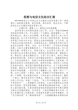 思想与电信文化结合汇报