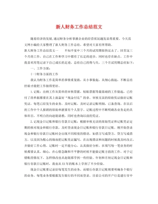 新人财务工作总结范文 