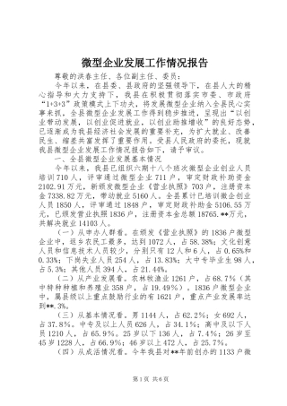 微型企业发展工作情况报告