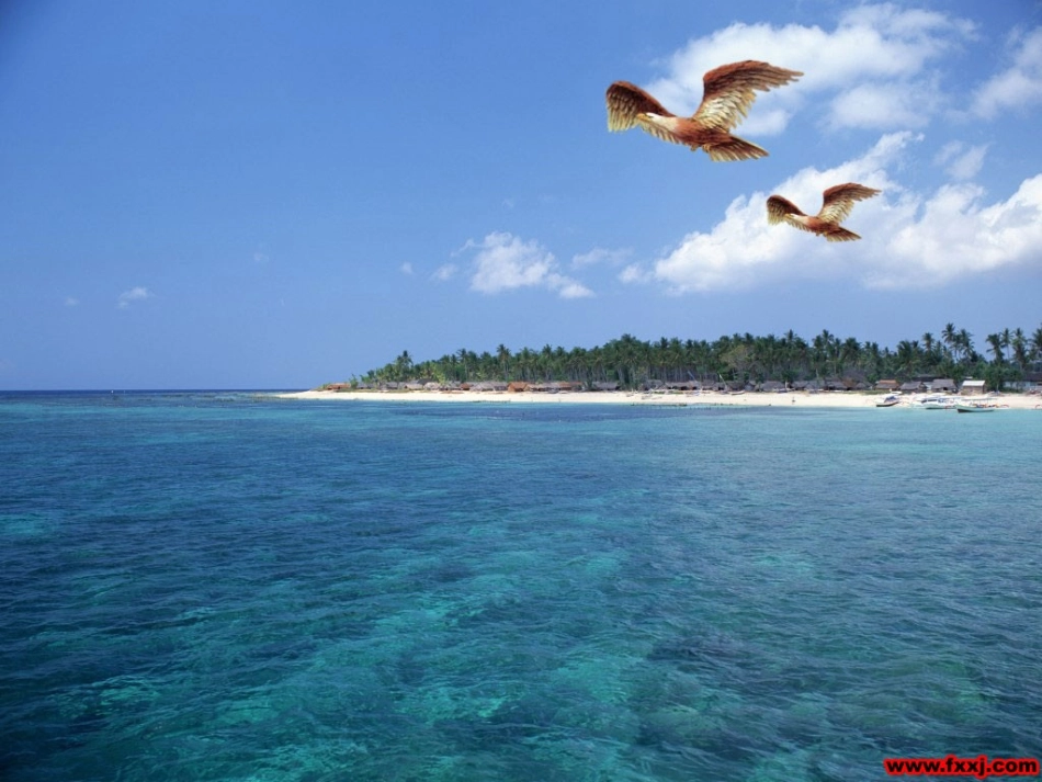 《赶海》课件_第1页