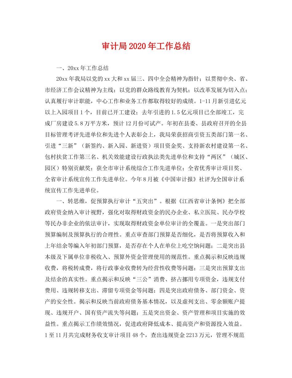 审计局2020年工作总结 _第1页