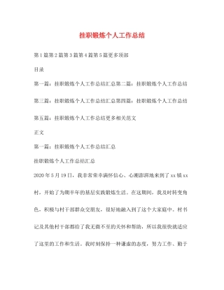 挂职锻炼个人工作总结 