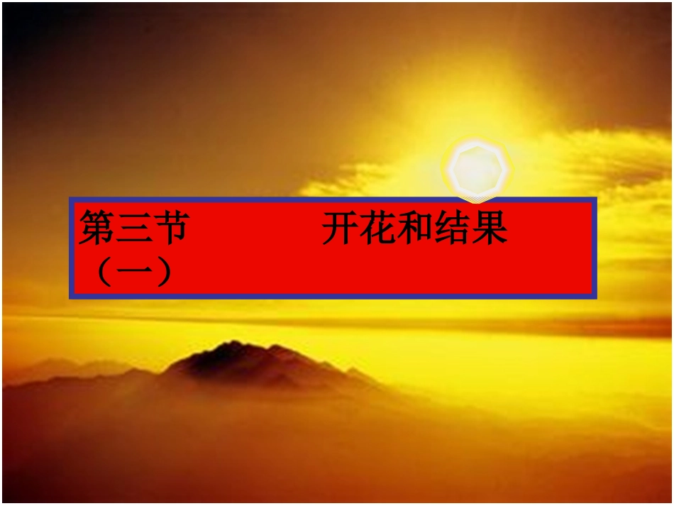 开花和结果 (2)_第1页