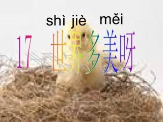 世界多美呀上课