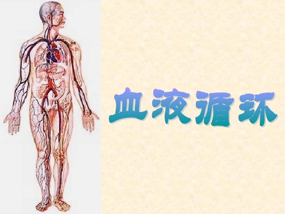 血液循环课件_第1页