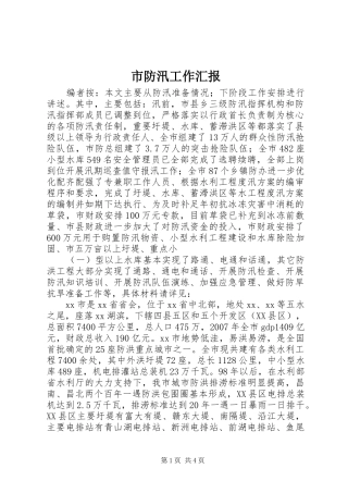 市防汛工作汇报