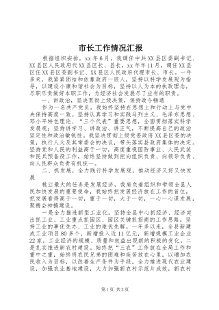 市长工作情况汇报