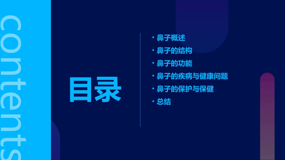 鼻子的结构与功能课件_第2页