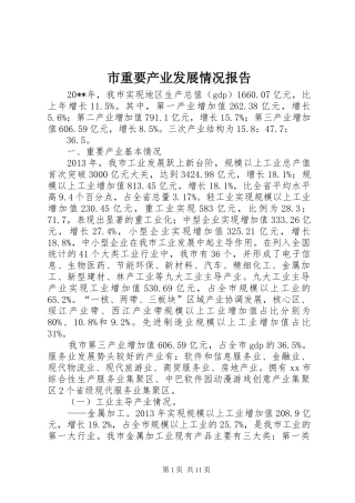 市重要产业发展情况报告