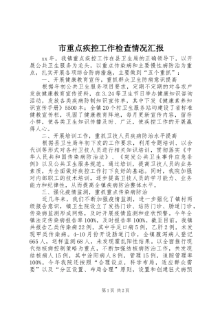 市重点疾控工作检查情况汇报