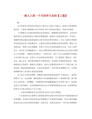 新人入职一个月的学习总结【三篇】 