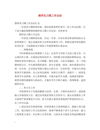 教师见习期工作总结 