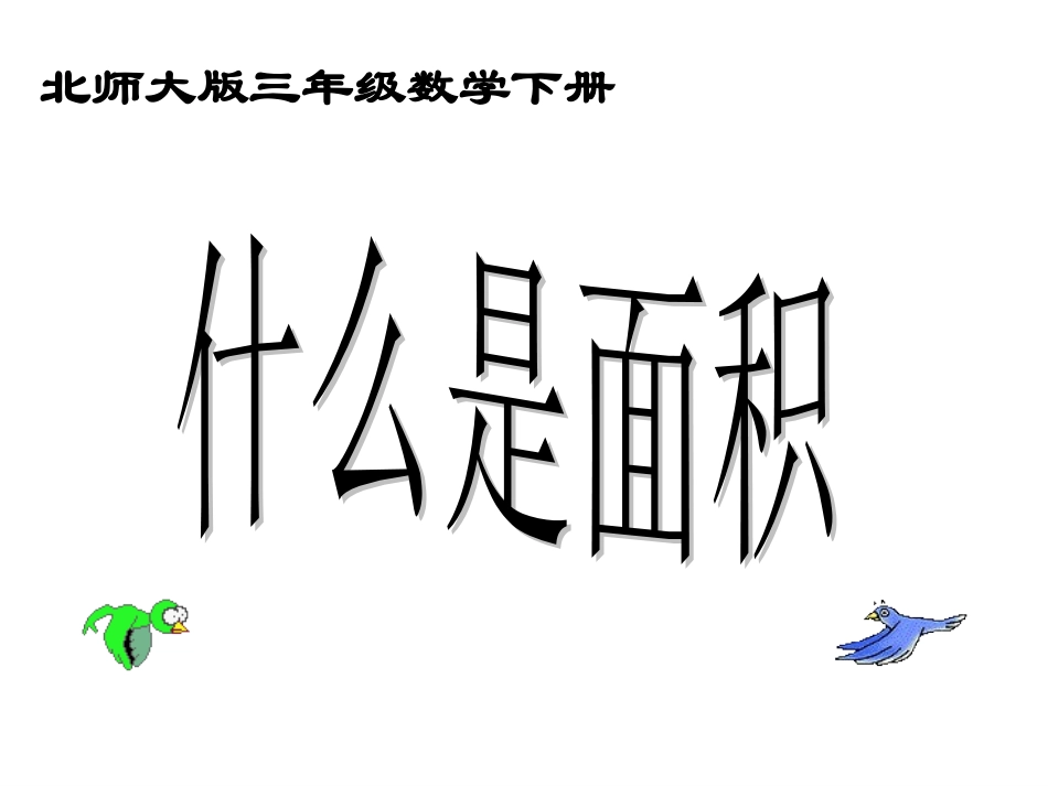 什么是面积》1_第1页