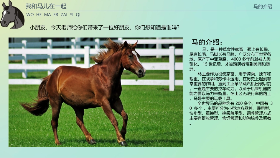 《我和马儿在一起》_第3页