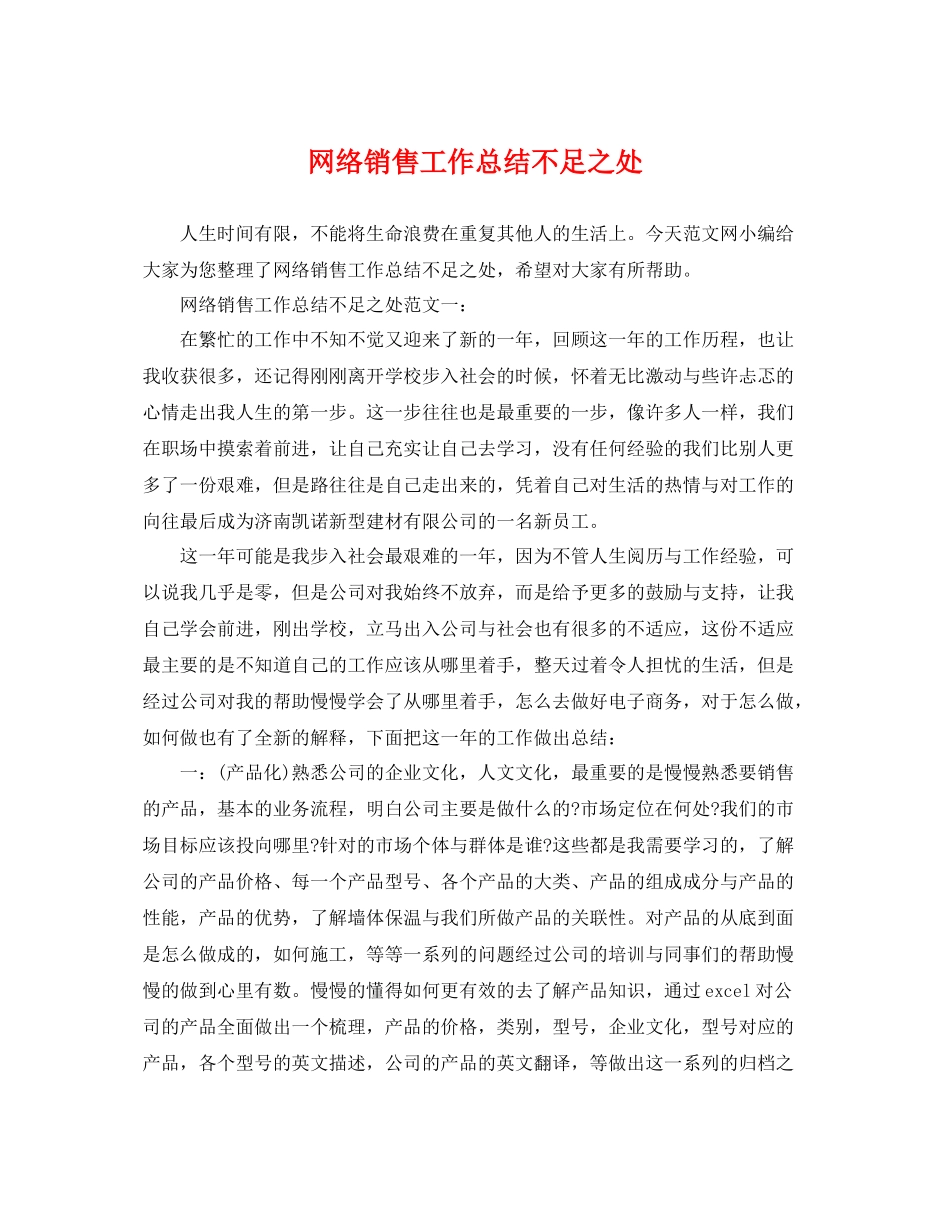 网络销售工作总结不足之处 _第1页