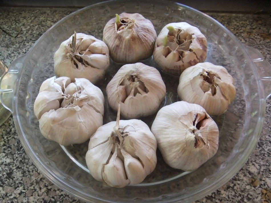 指导写观察日记课件_第2页