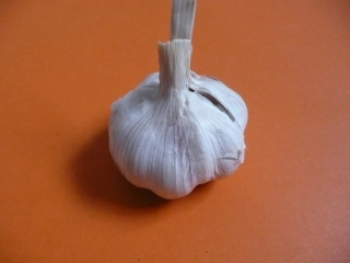 指导写观察日记课件