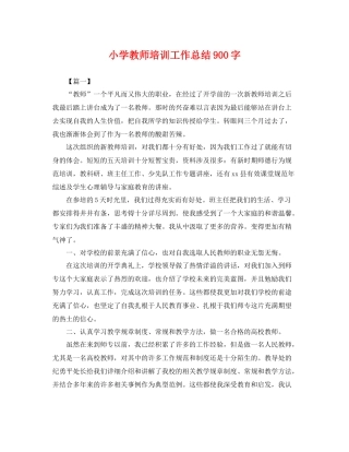 小学教师培训工作总结900字 