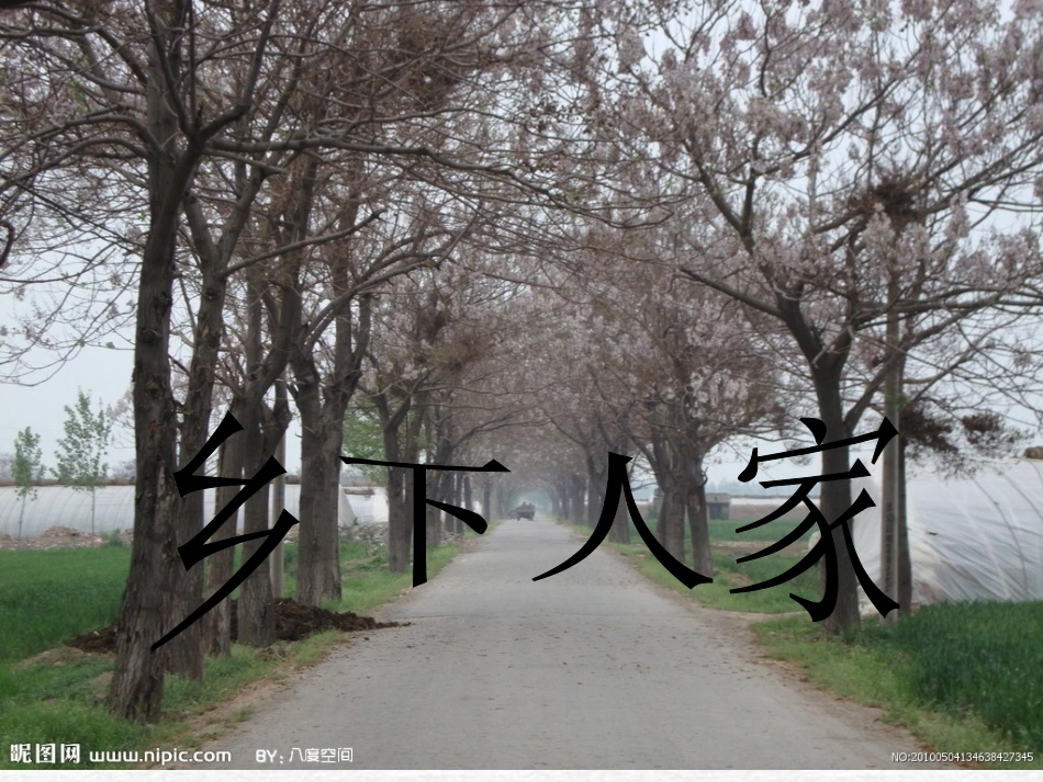 乡下人家1111_第1页