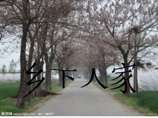乡下人家1111