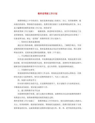 教师老带新工作计划 