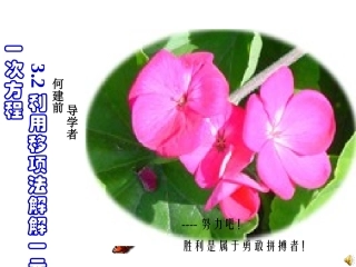 利用移项法解一元一次方程