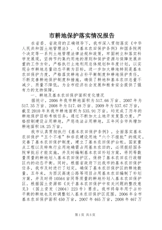 市耕地保护落实情况报告