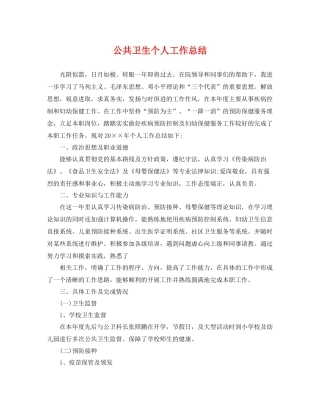 公共卫生个人工作总结 