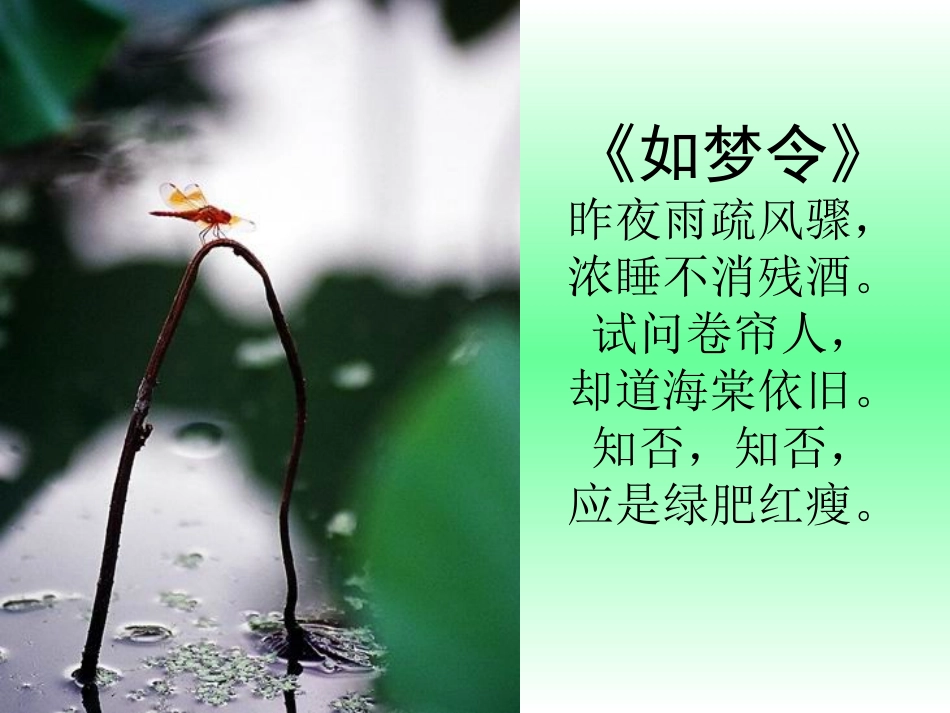 词两首(课件)_第3页