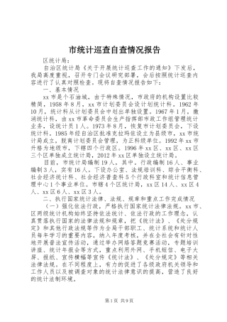 市统计巡查自查情况报告