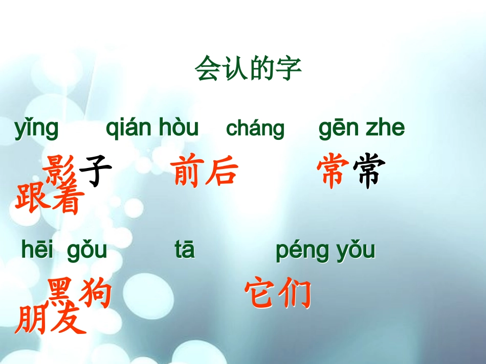 《影子》课件_第3页