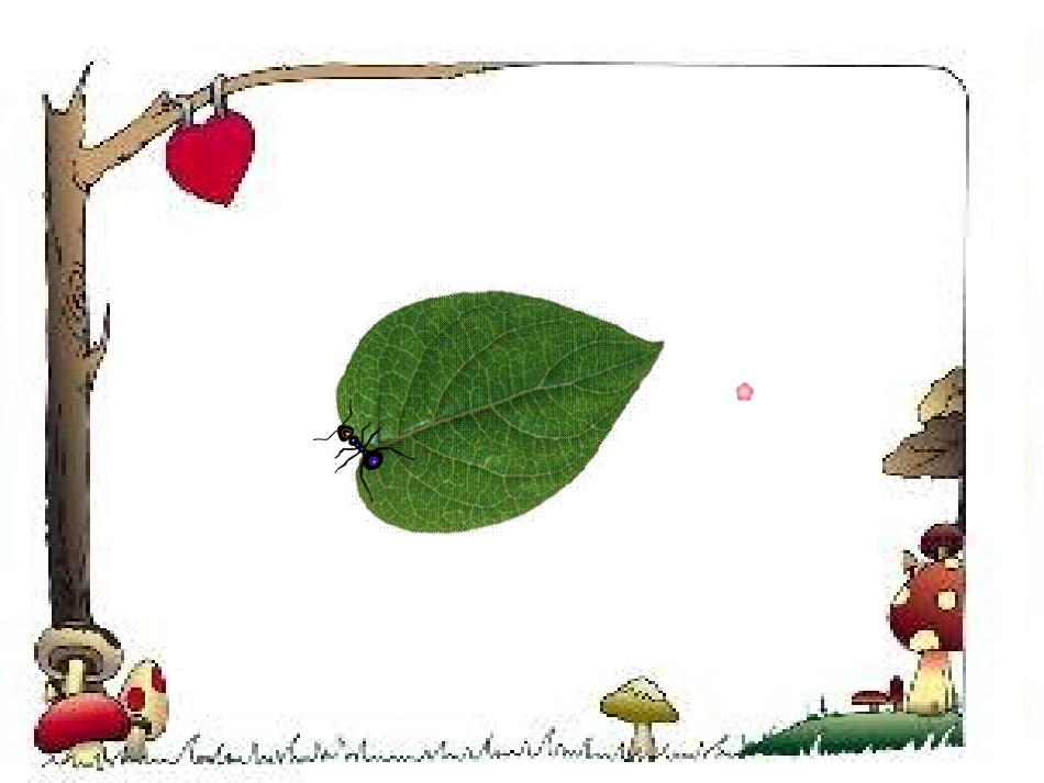 上课《什么是周长》_第2页