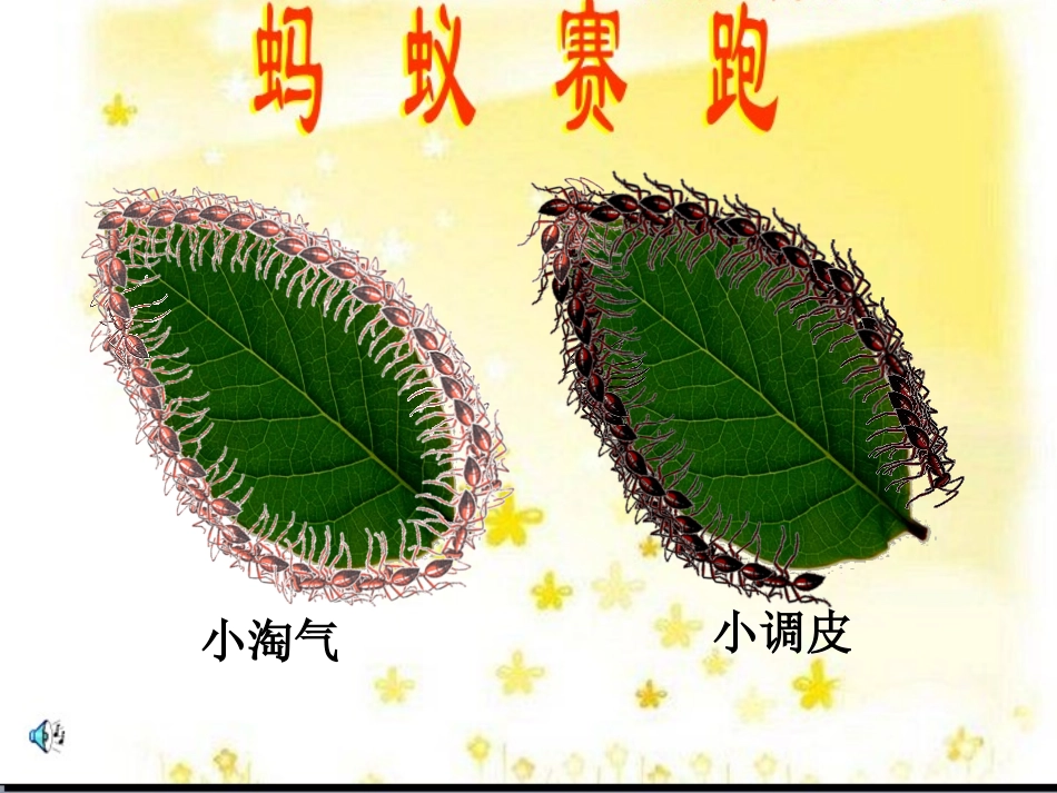 上课《什么是周长》_第3页