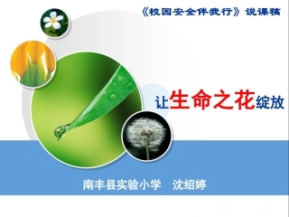 南丰县实验小学《预防和应对意外事故》