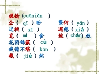 《再塑生命》课件